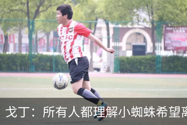 戈丁：所有人都理解小蜘蛛希望离队的想法，但他的处理方式做错了
